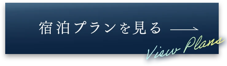 宿泊プランを見る！